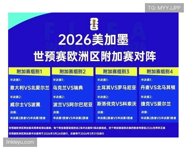 波黑队2026世界杯晋级前景分析 能否突破历史最佳战绩 波黑队2026世界杯晋级前景分析 能否突破历史最佳战绩