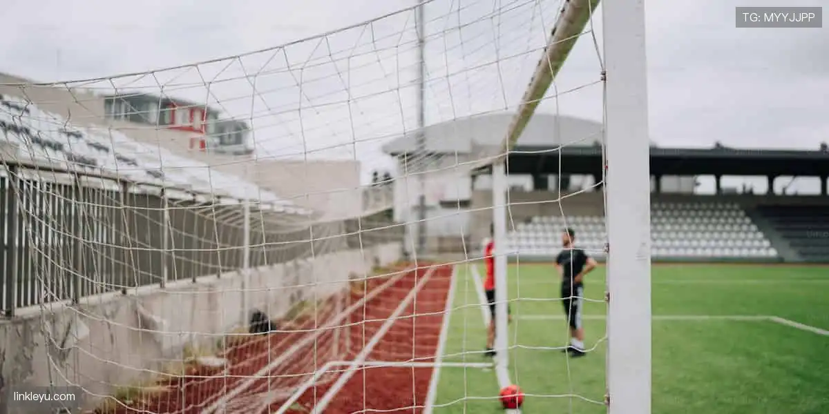 高清直播，随时随地！📱